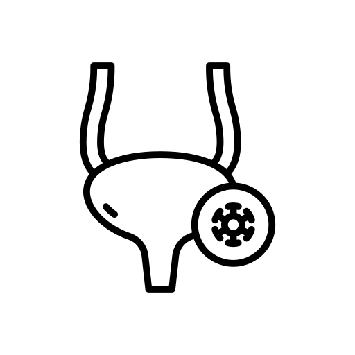 Cystitis